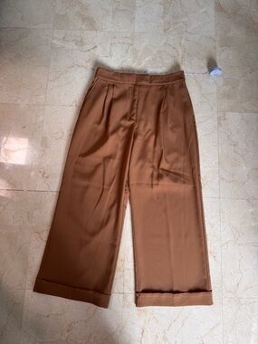 Zara Wide-Leg Dress Pants in Brown